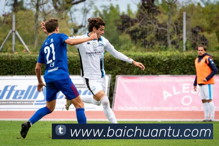 世界杯官网线上平台品牌故事